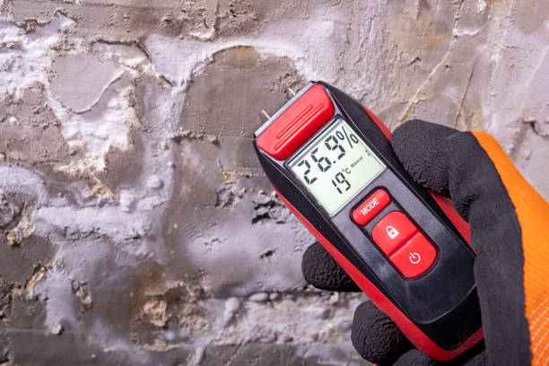 Best Mold Remediation  in Huxley, IA