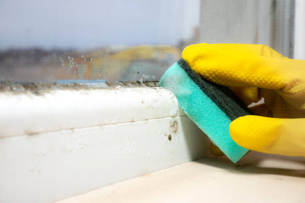 Best Mold Inspection  in Huxley, IA