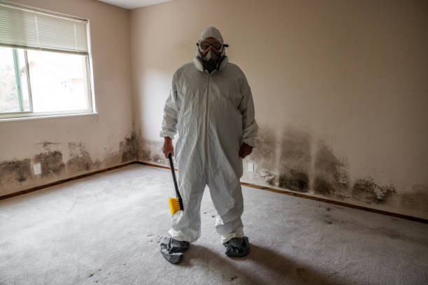 Best Mold Cleaning Services  in Huxley, IA