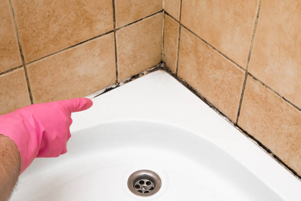 Best Crawl Space Mold Removal  in Huxley, IA